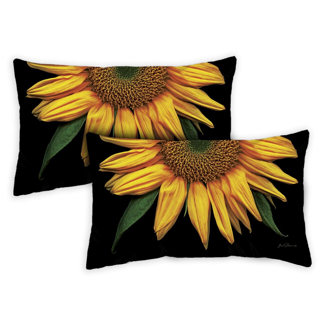 Sunflowers On Black Decorative Fall Indoor/Outdoor Pillow Cover (set of 2)